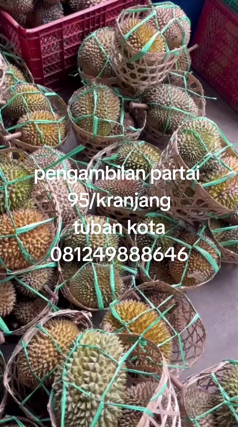 @Kenzhi Durian Tuban
