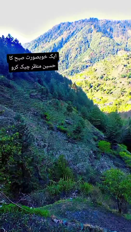 @انجان لڑکی