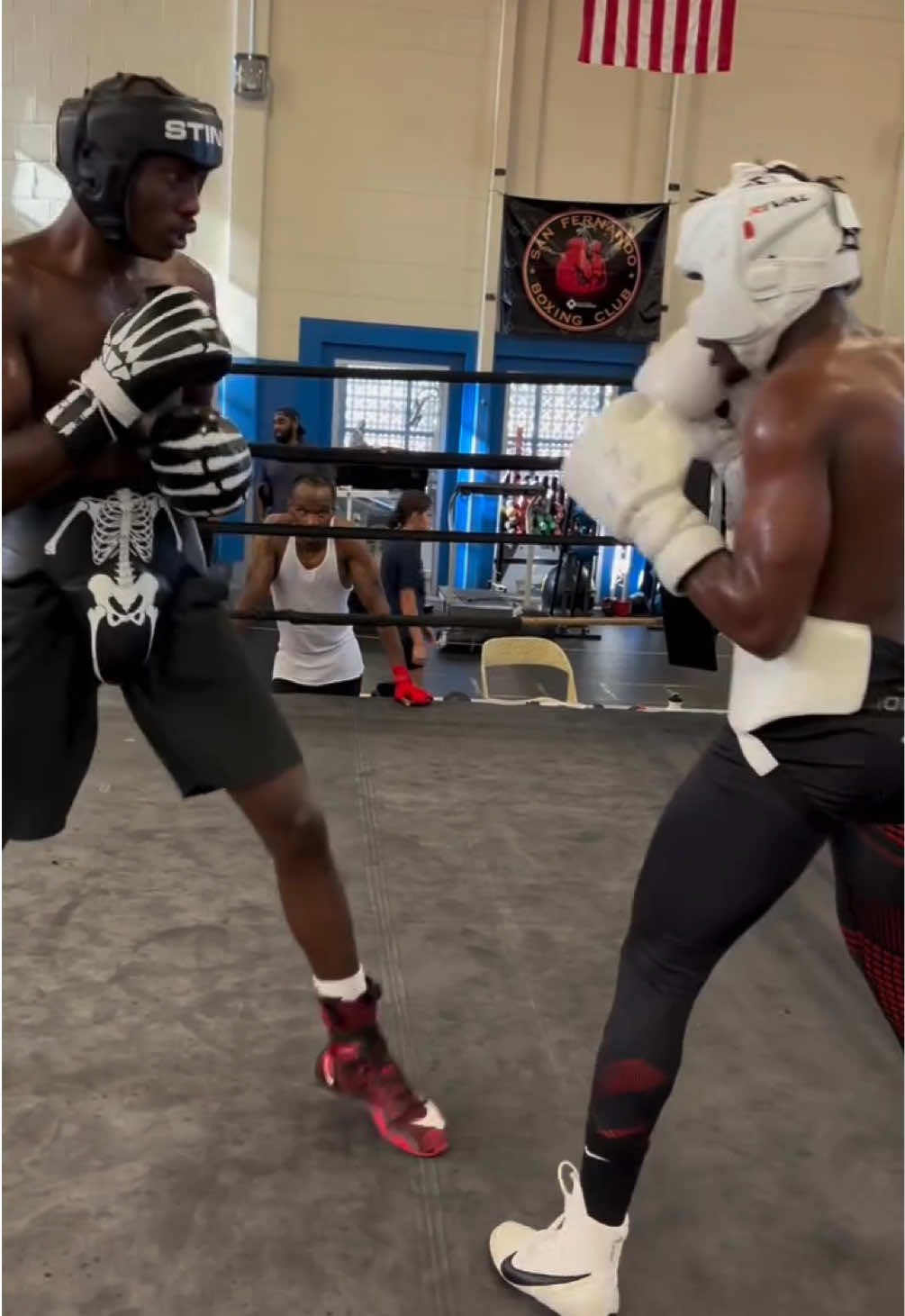 @fivestarboxing