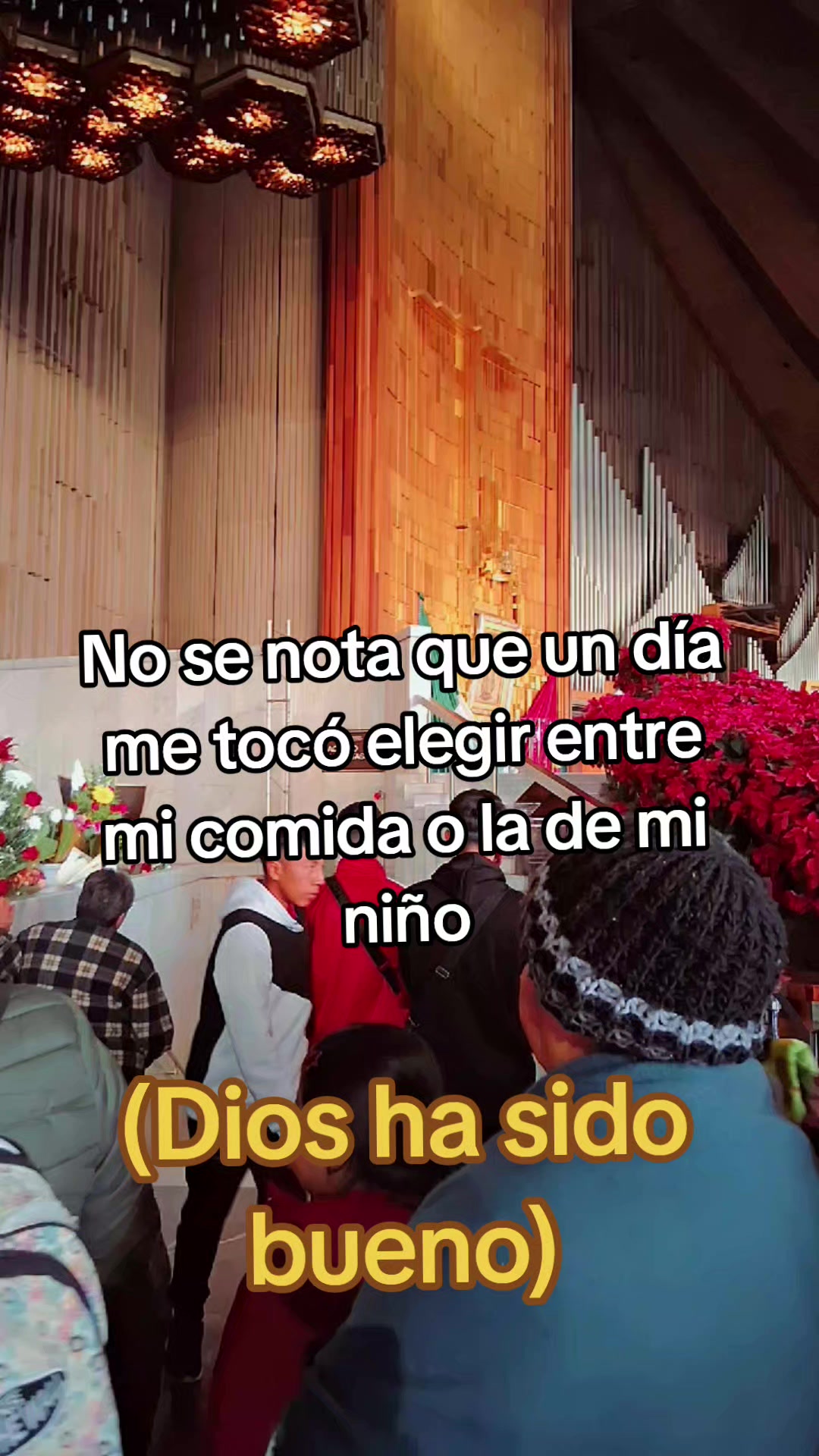 @☘️