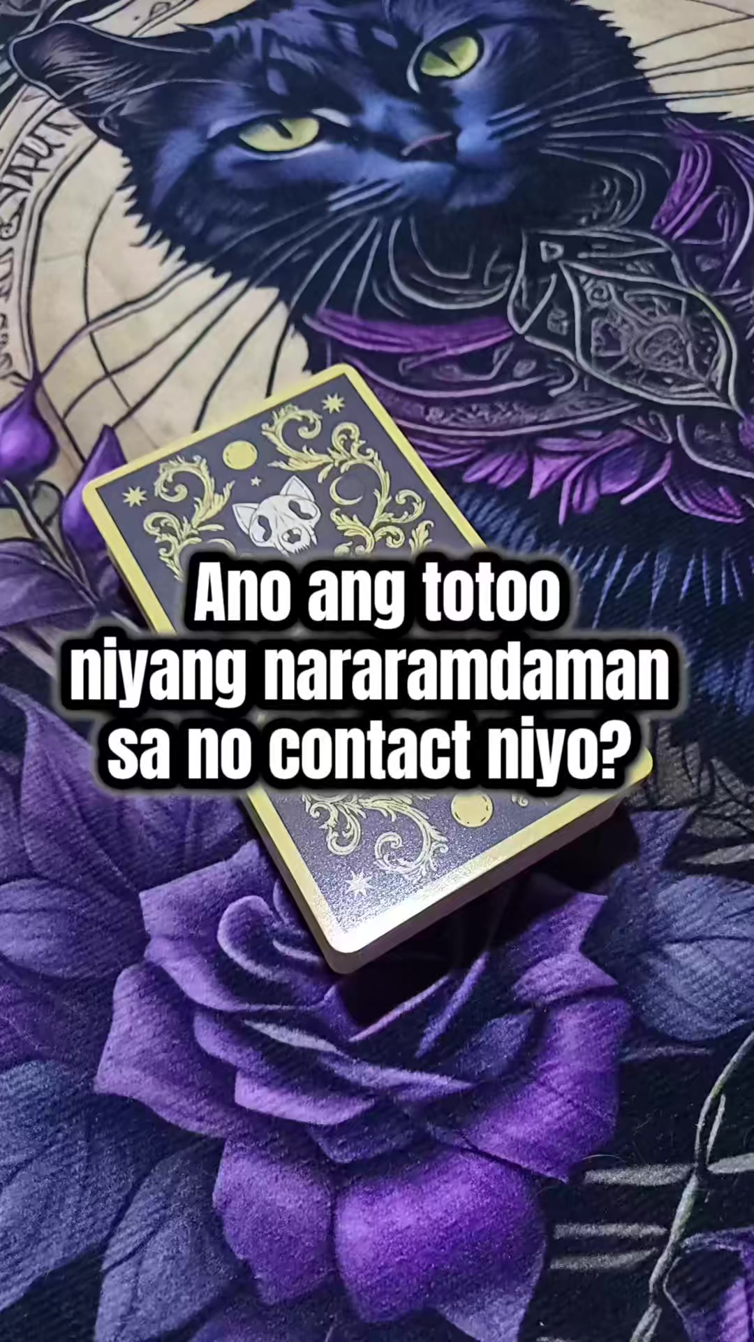 @Marie Tarot Reader