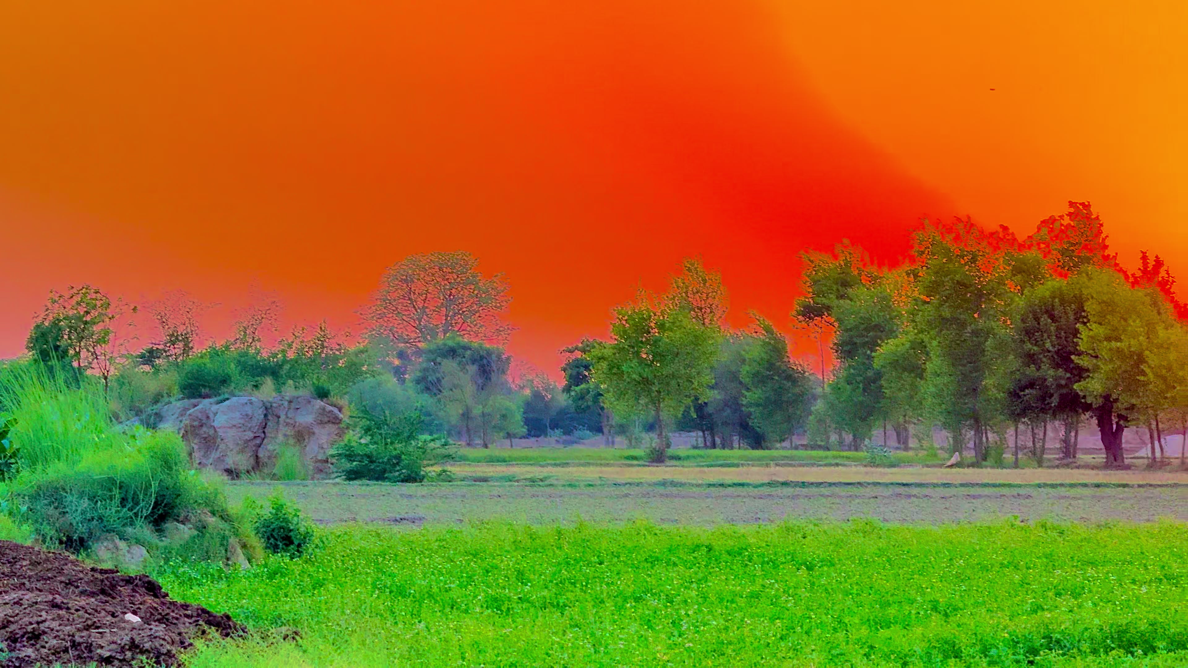 @🌾میں۔ میرا۔ پنڈ🎋
