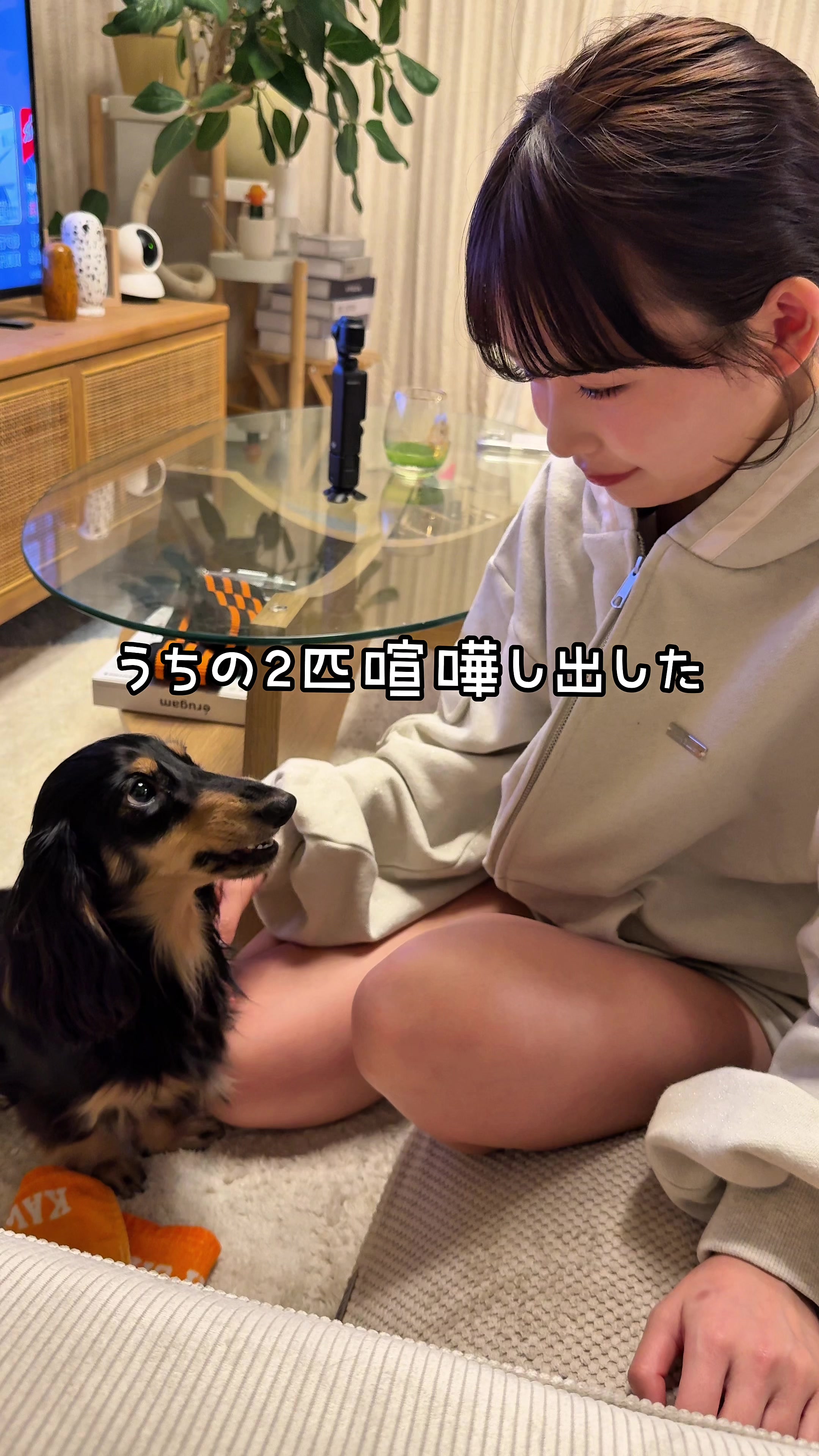 @えいしとさなです。