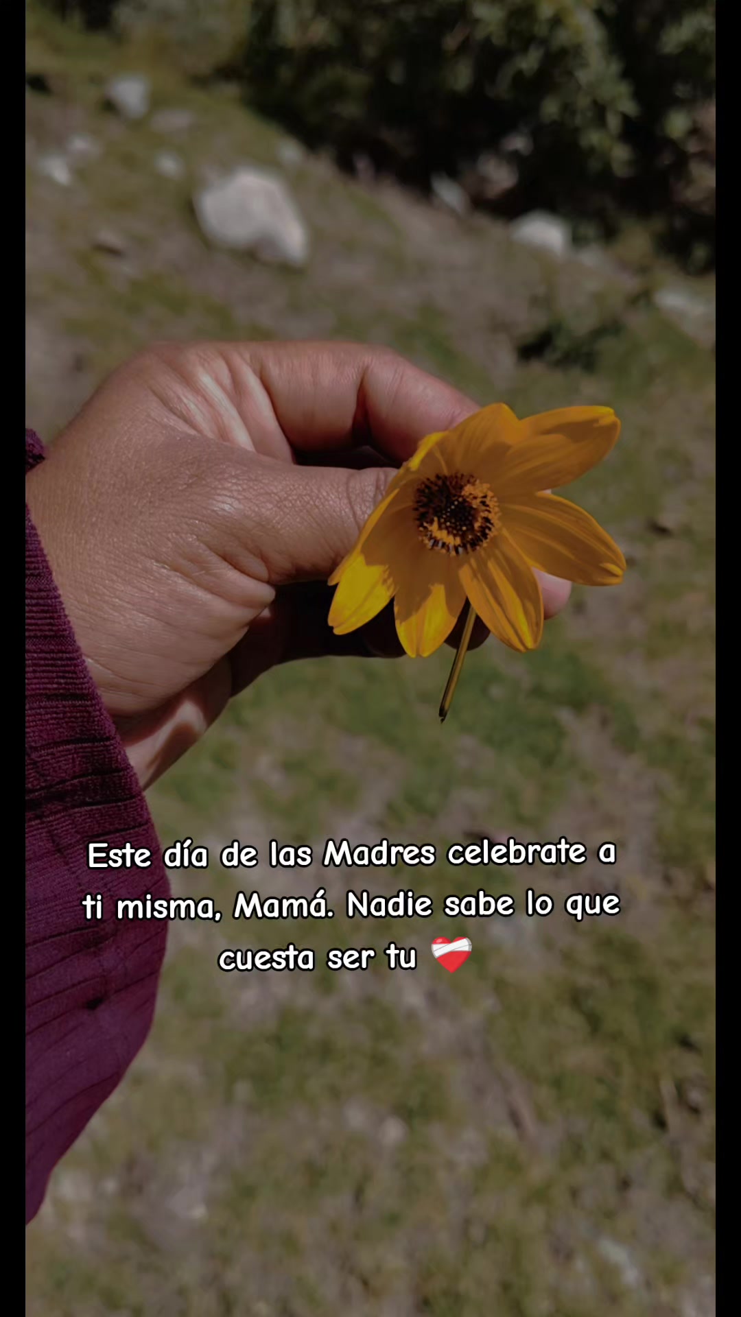 @🦋 Nery Villanueva ❤️💫
