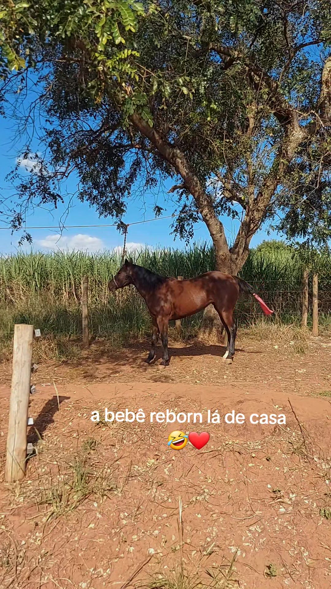 @iLarieeee