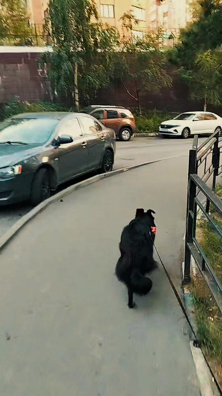 @Китти Кетти