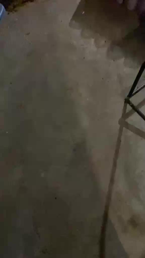 @Jemboot