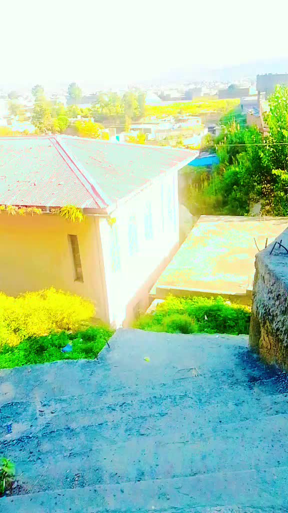 @kashmiri 786