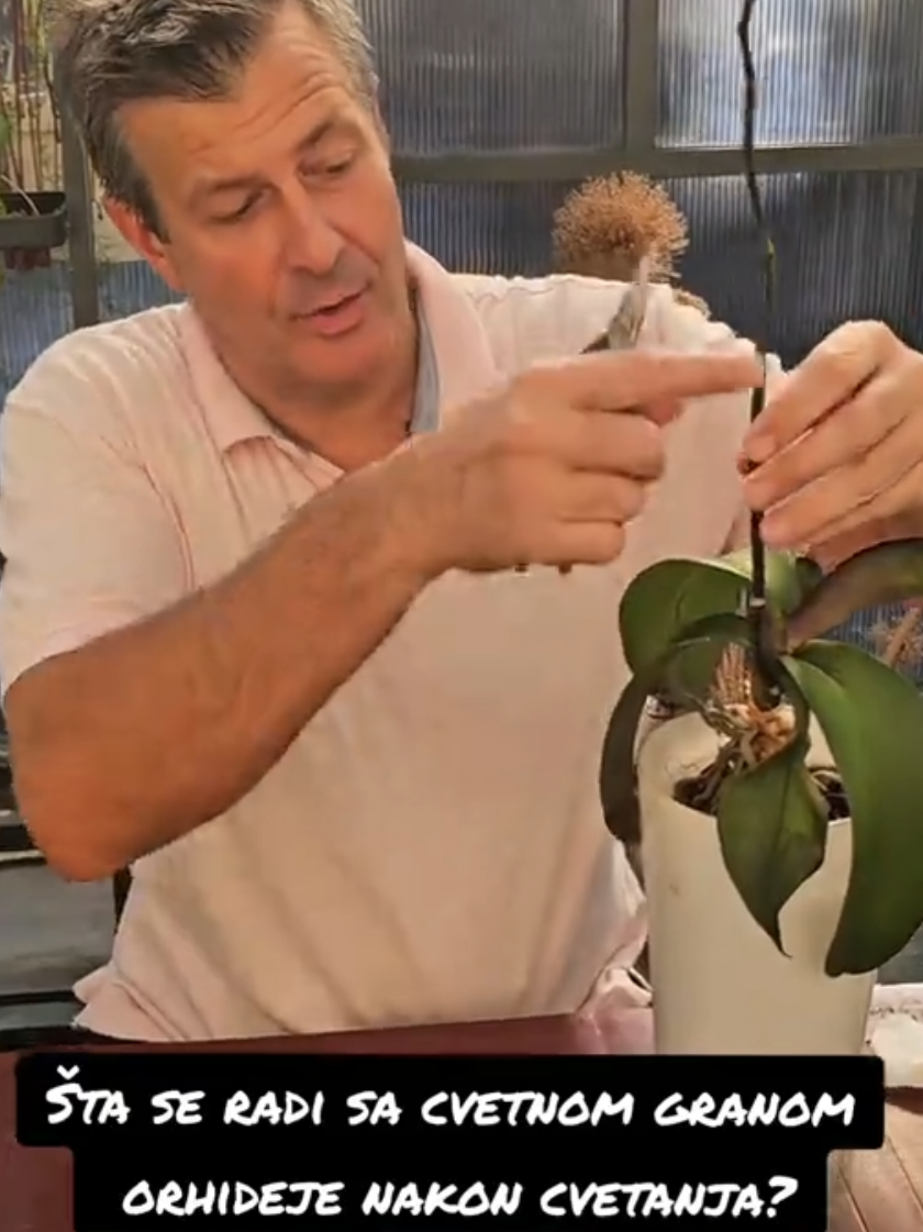 @Dejan Dragićević