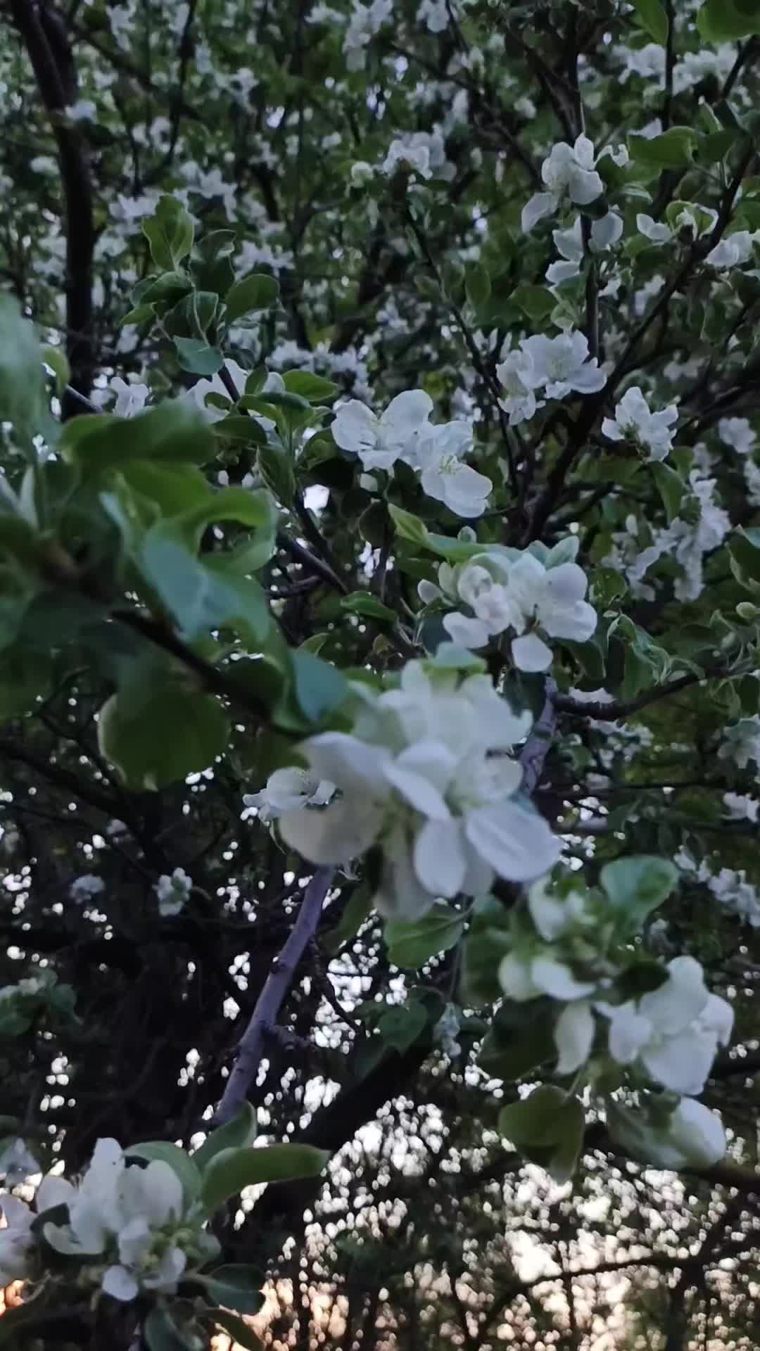 @𝓝𝓪𝓼𝓽𝓮𝓷𝓴𝓪