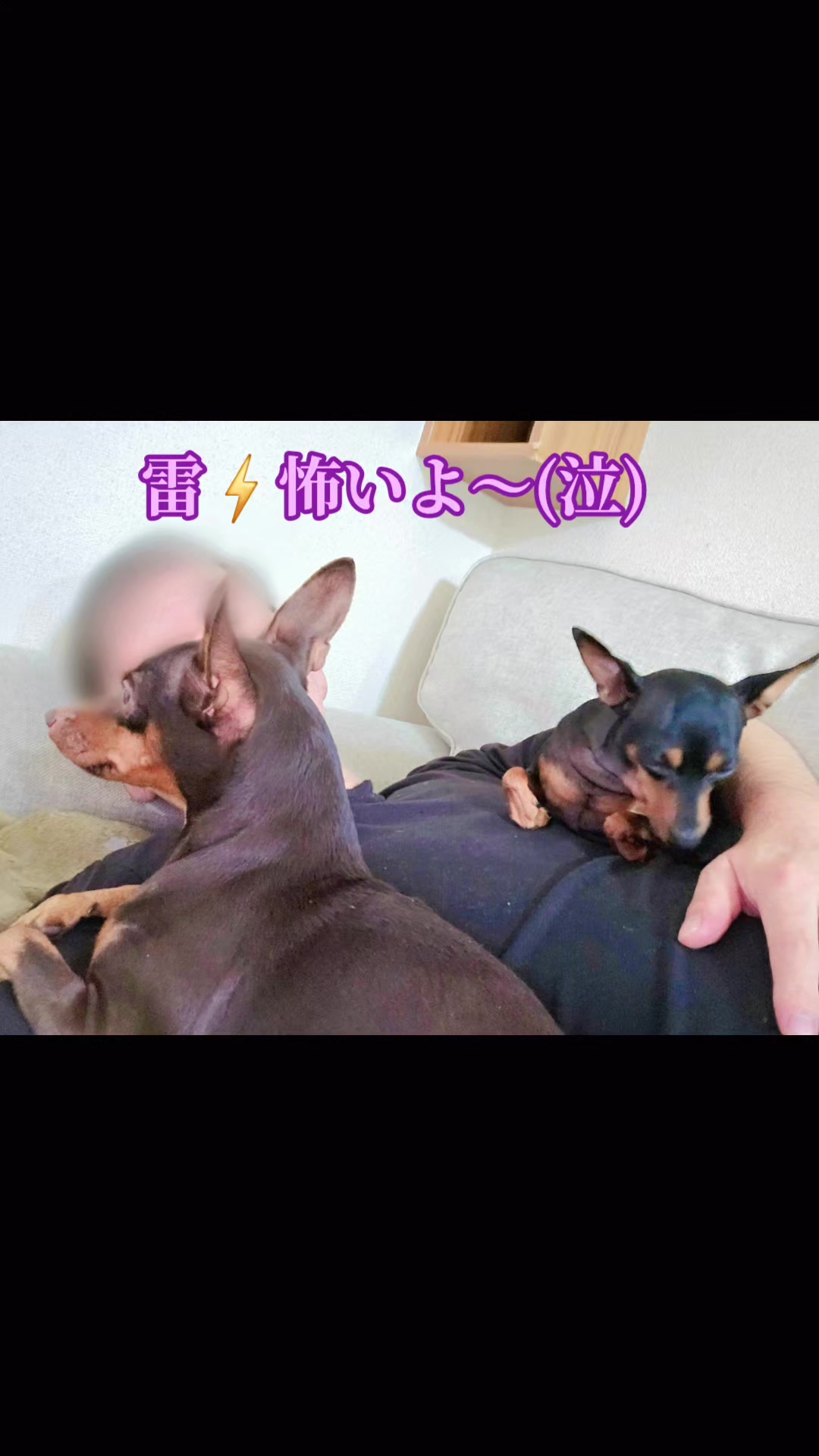 @ðããã¢ð