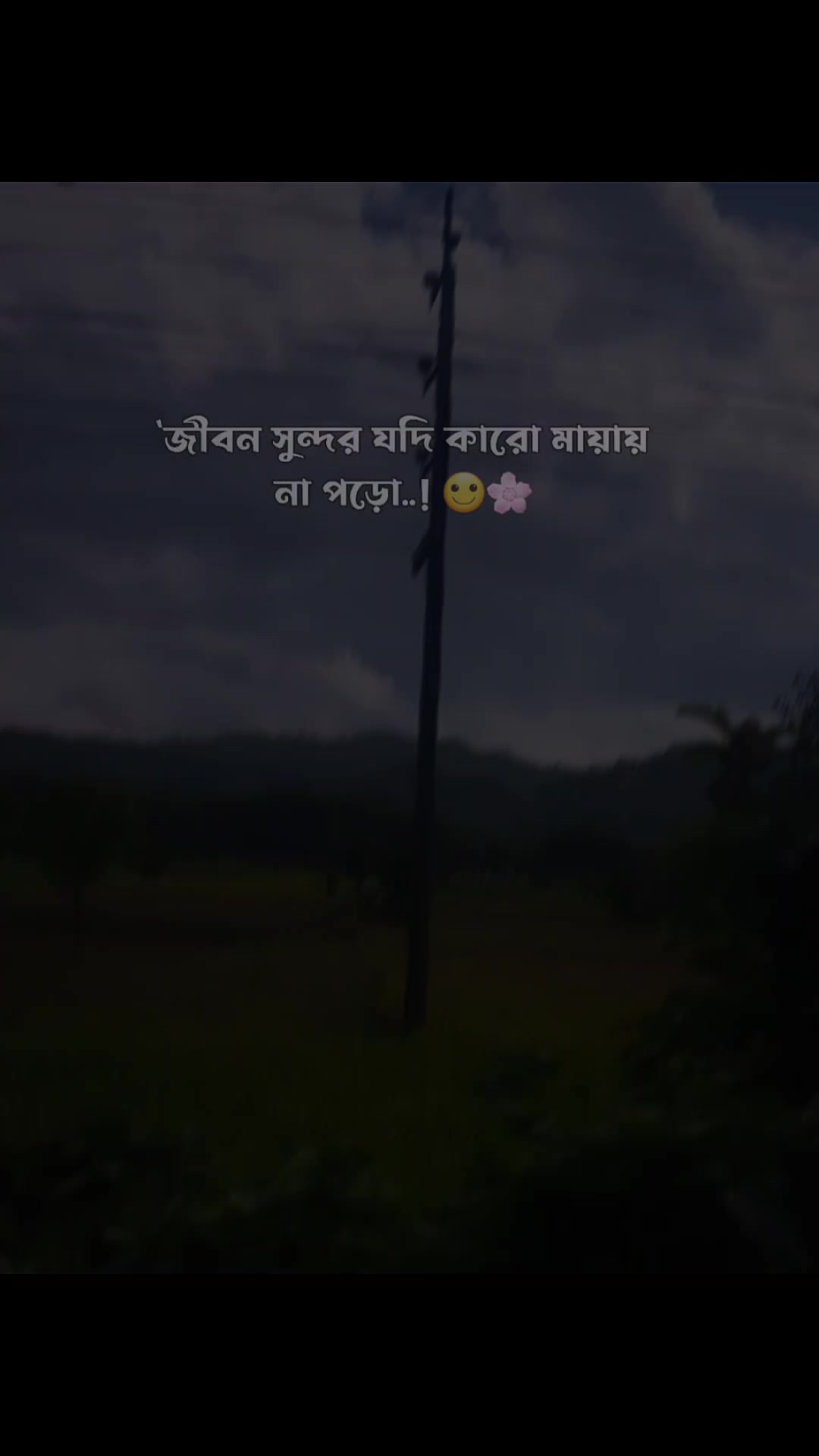 @🌸🌸メʀꫝᴊᴜ࿐🌸🌸