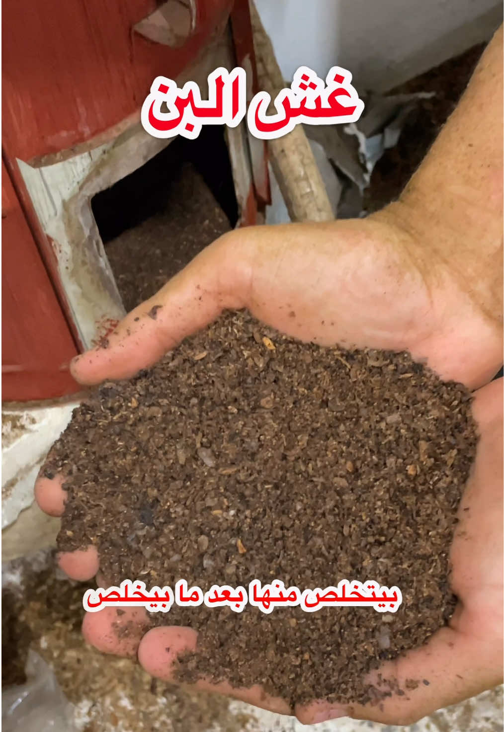 @بن الملوك | سومطرة