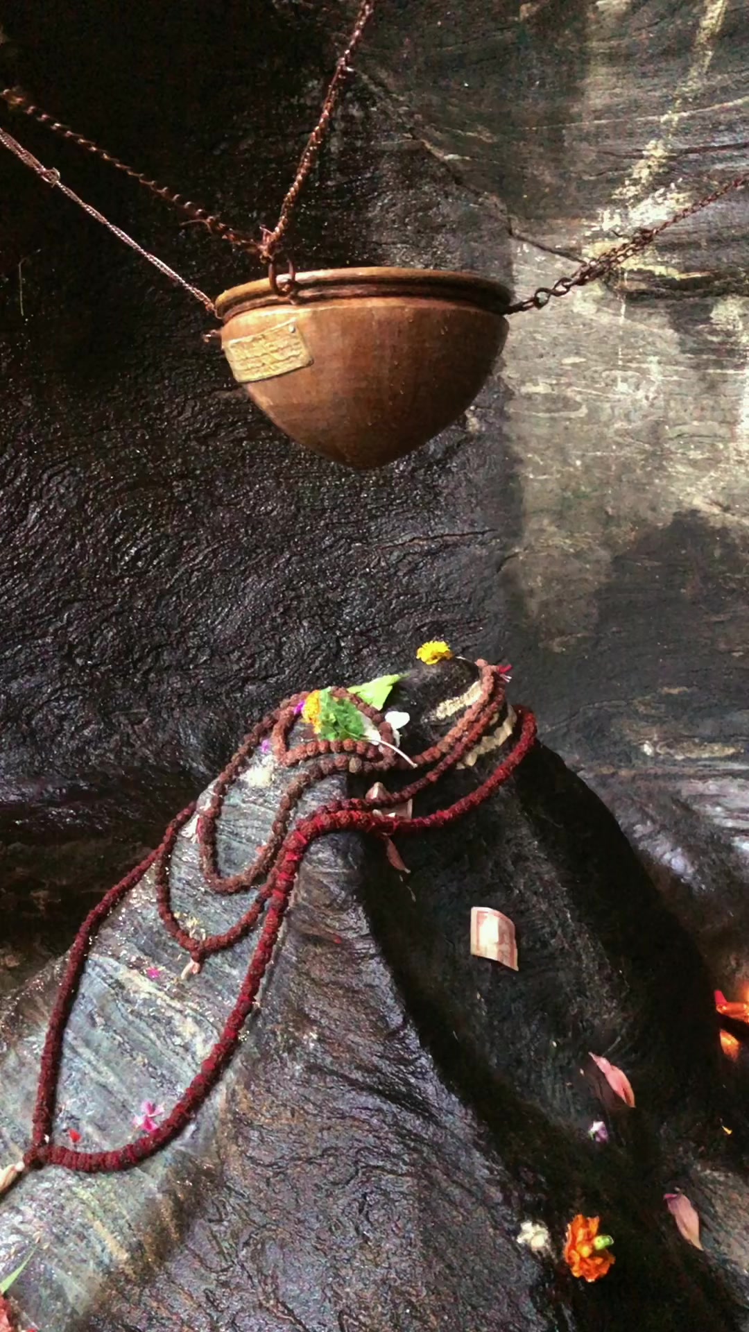 @रबिना कुईकेल सदाशिव🕉️🙏🦚