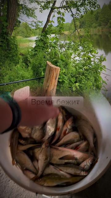 @🇧🇾Денис Занкевич🇧🇾Brest😎