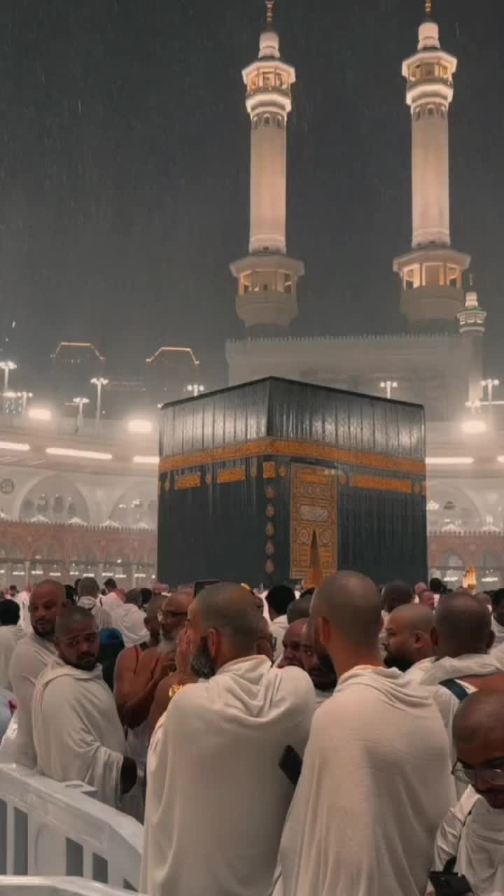 @♥️🕊️