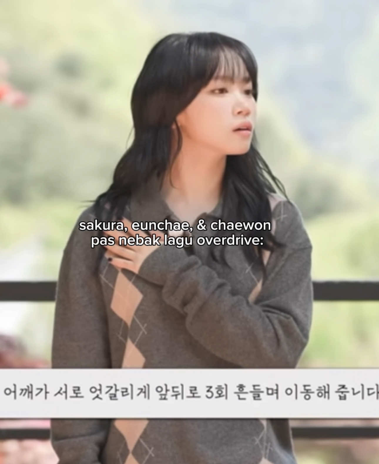 @Yubae