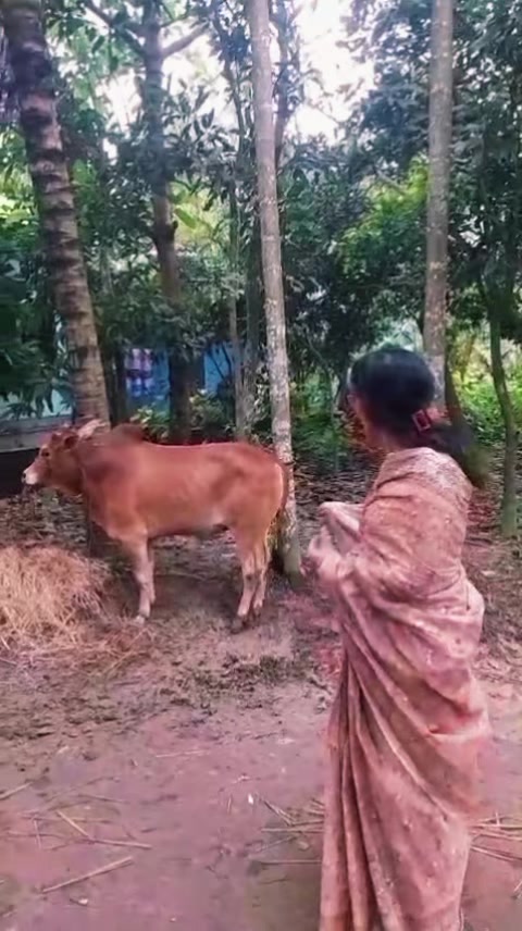 @Nargis chowdhury