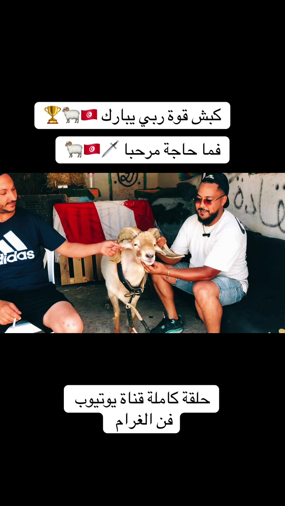 @سيف غرام زمان 🇹🇳