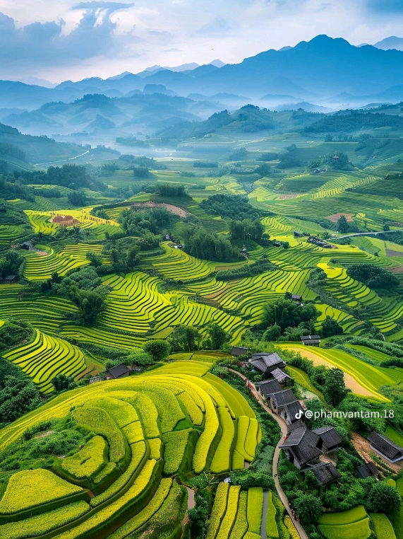 @Nguyễn Hữu Thọ
