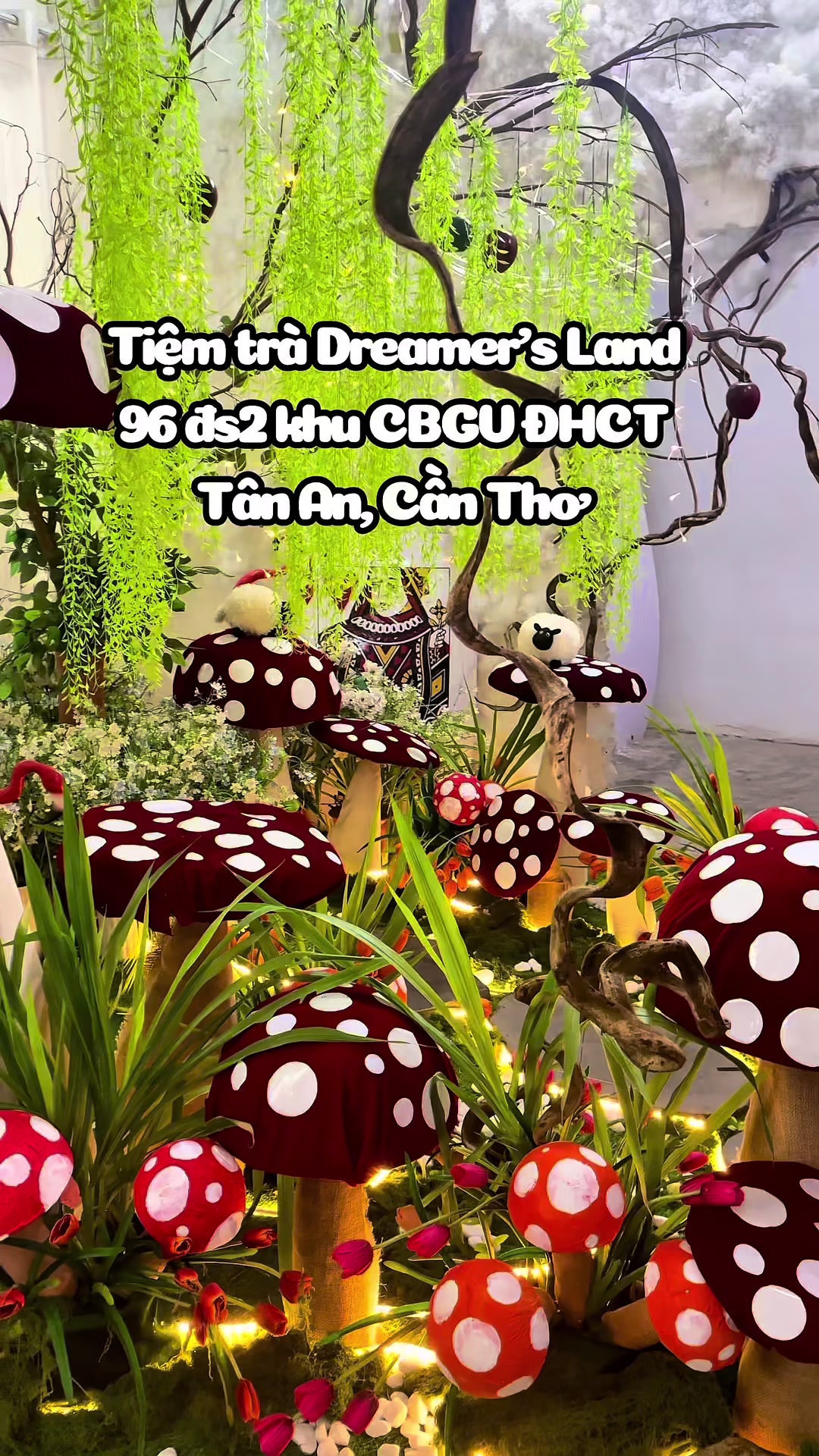 @Tiệm tr&agrave; Dreamer&rsquo;s Land