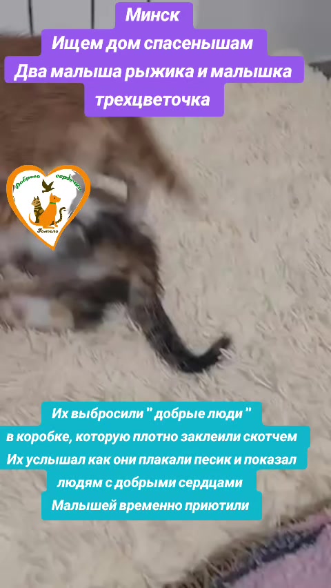 @Марина