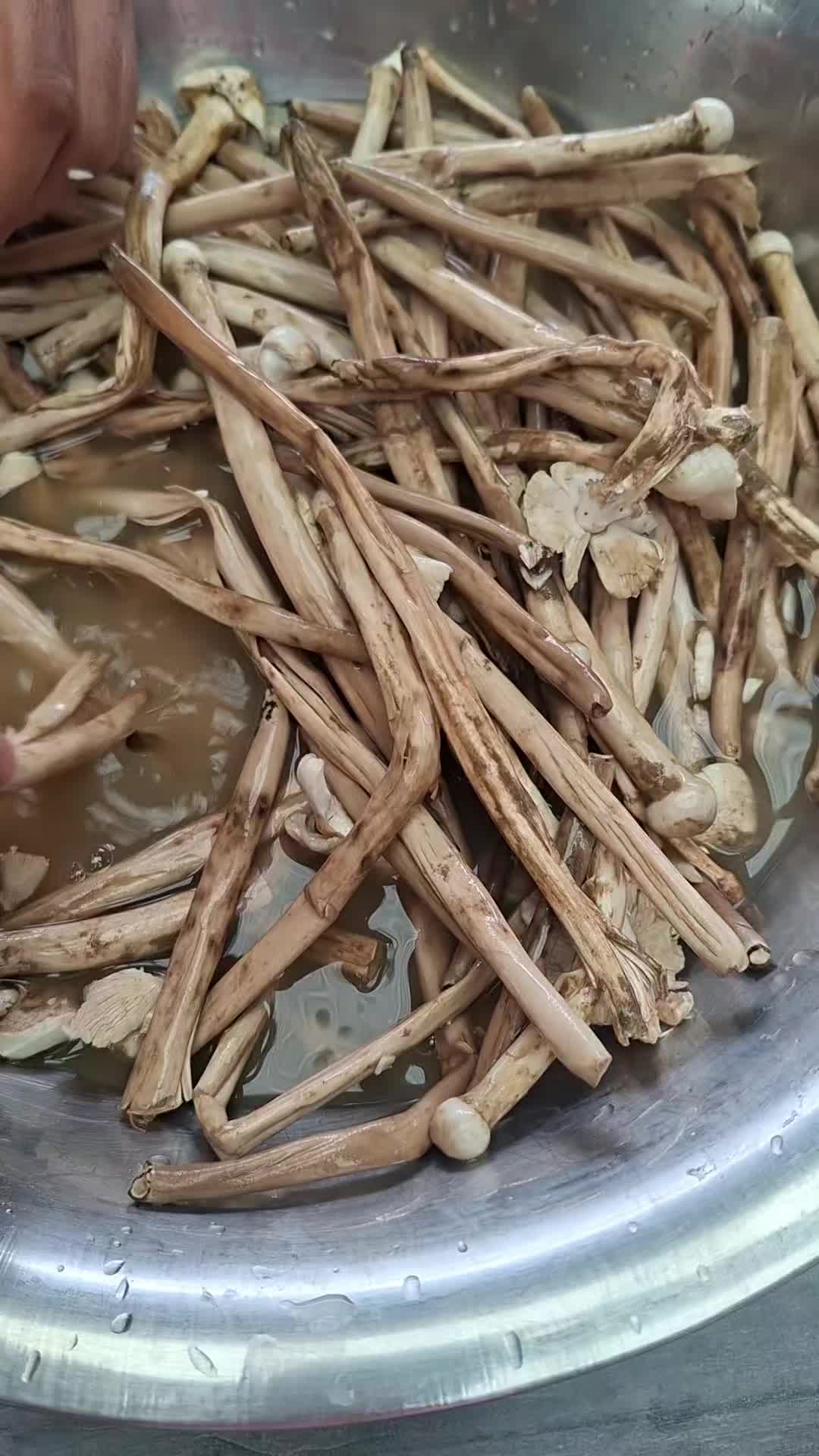 @RARA_SAINJU