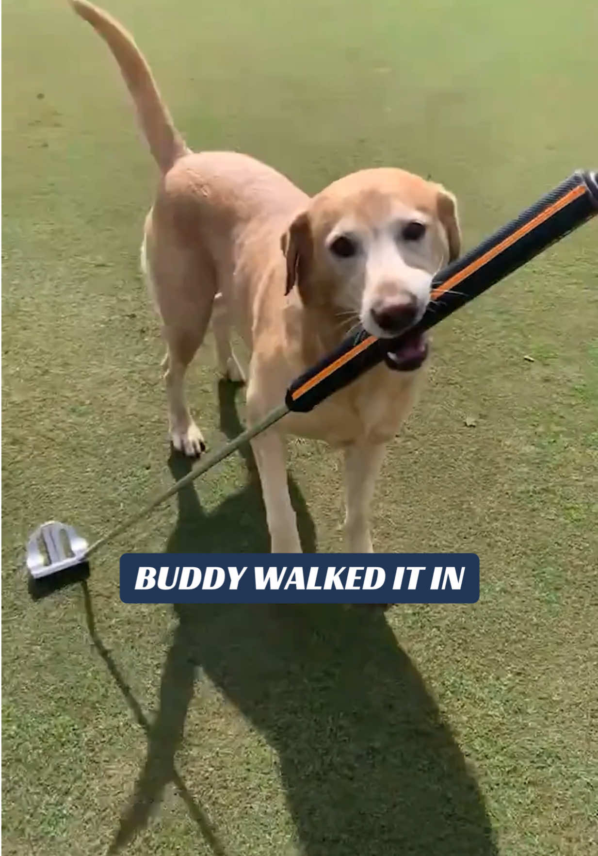 @Golf Channel