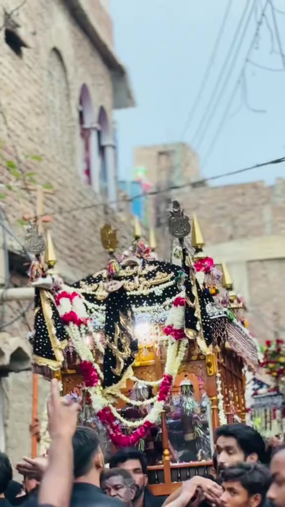 @uzair ali110🚩
