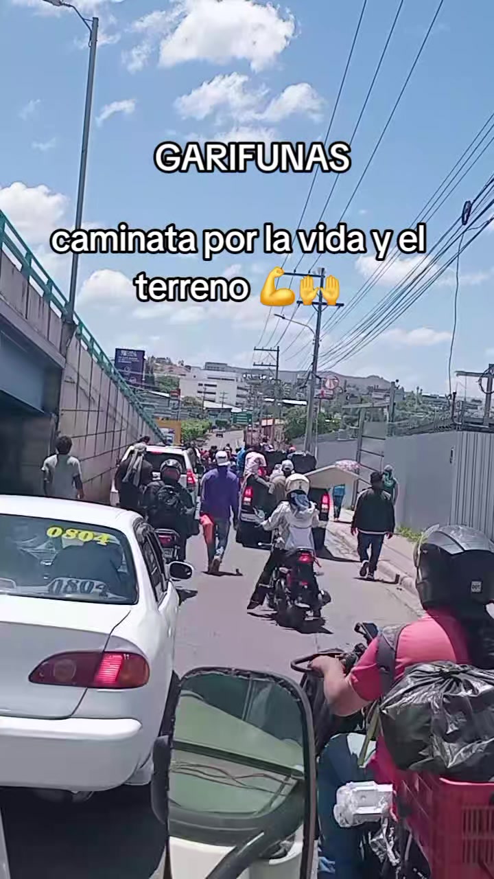 @davidtrujillo1125