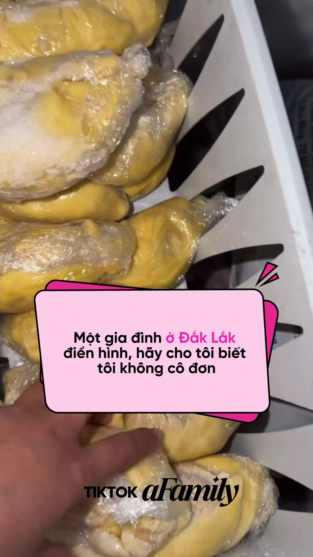 @aFamily Ngay L&uacute;c N&agrave;y