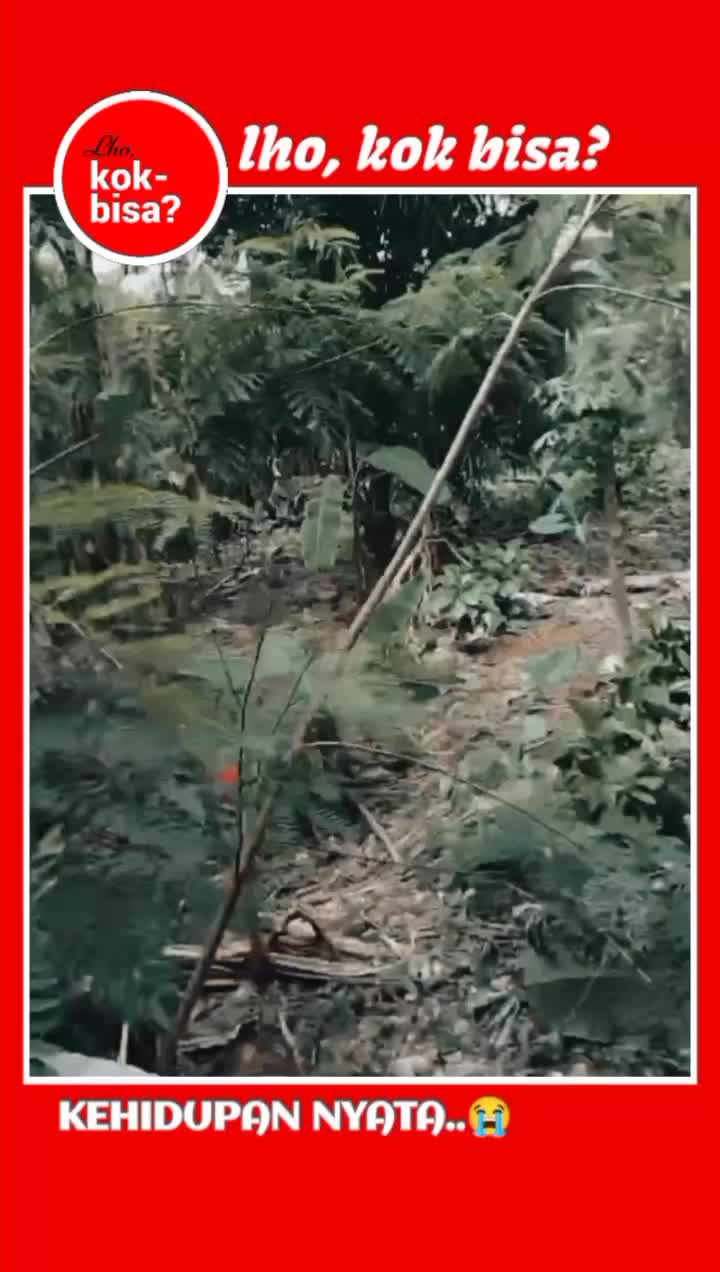 @Lho, Kok Bisa? 🤔