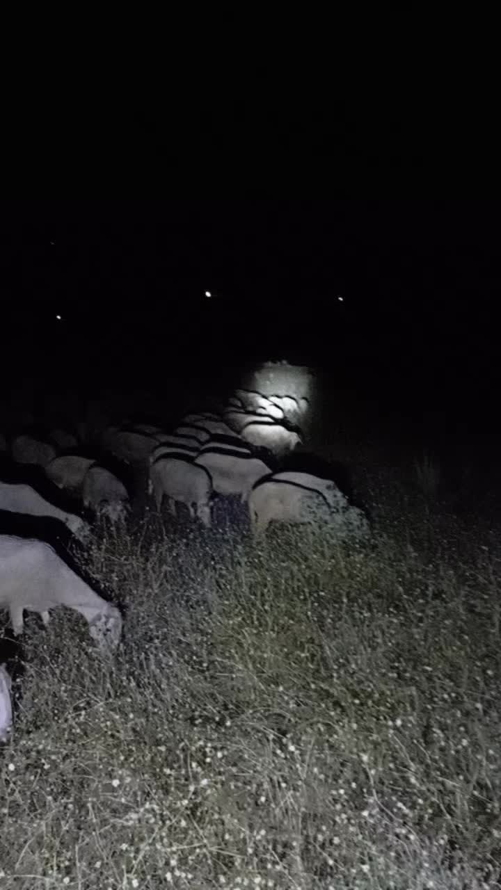 @Furkan STLMŞ 03