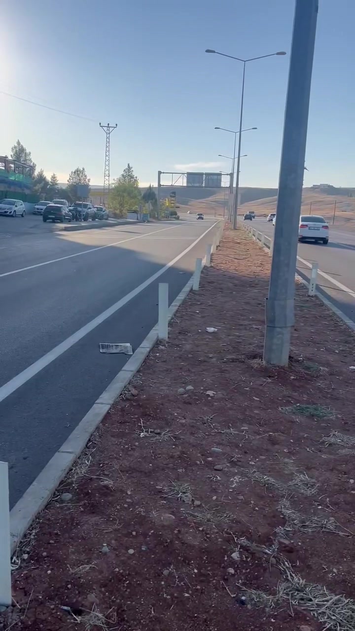 @Reşşo Can