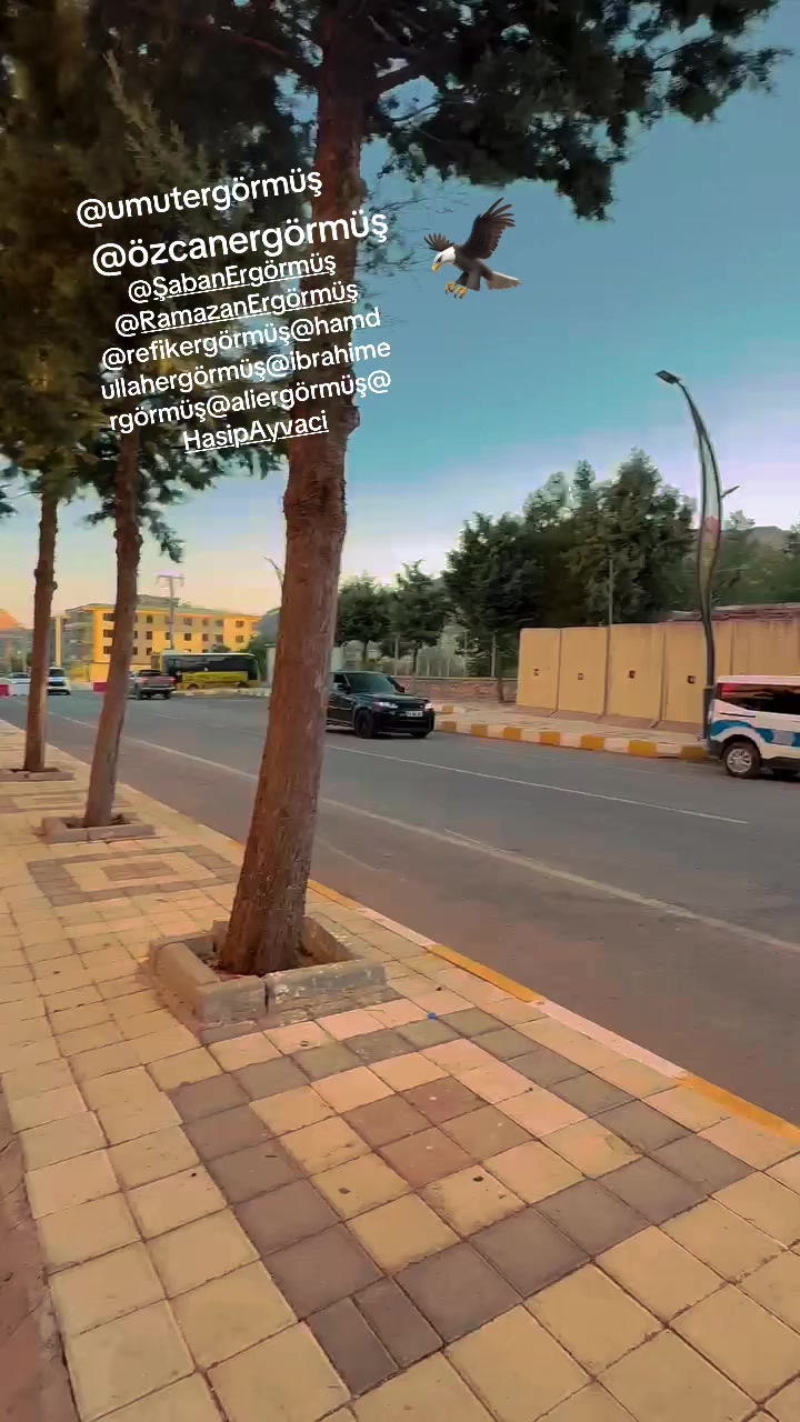 @Umut072163