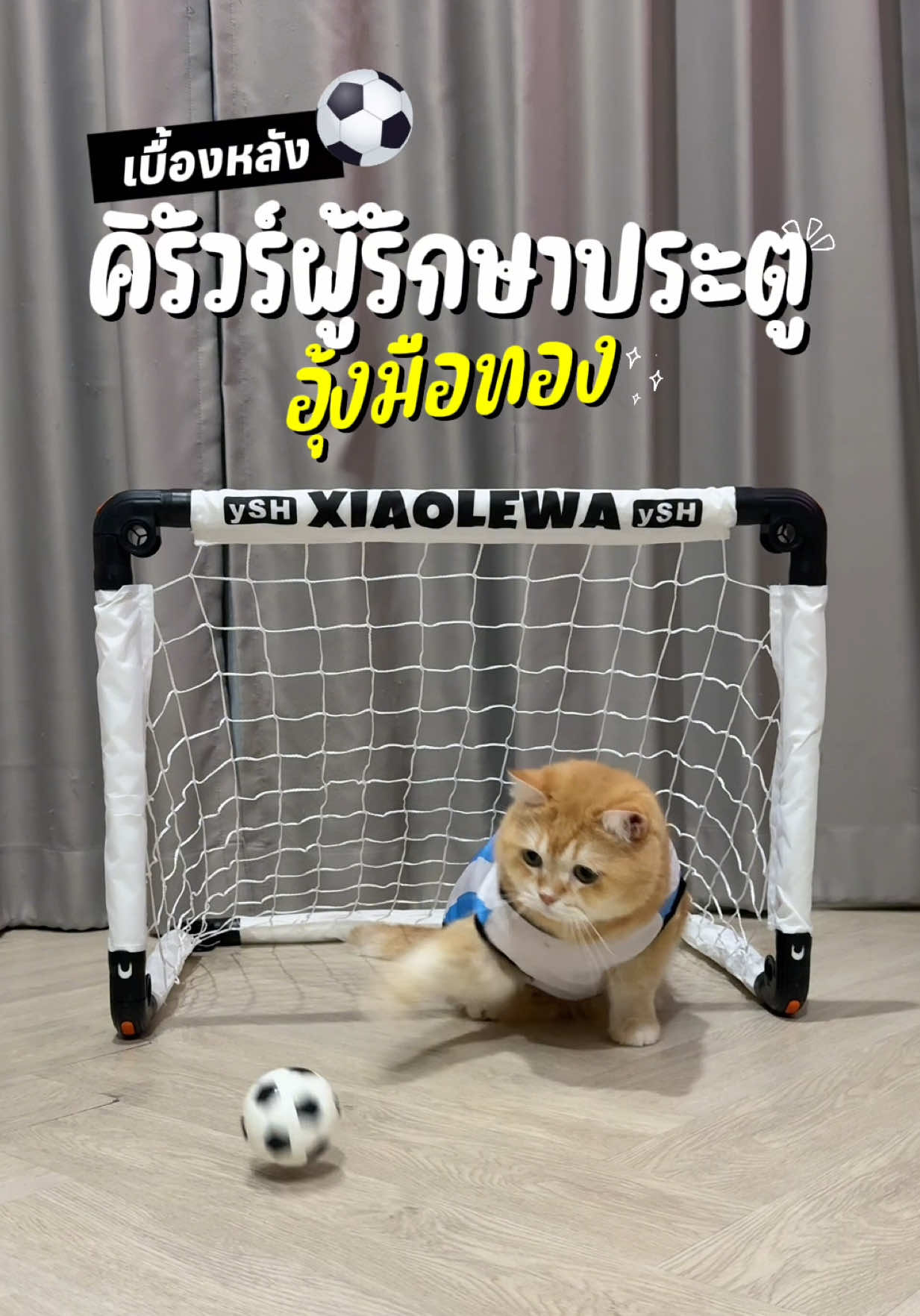 @ชิเอลแมวมึน 😺