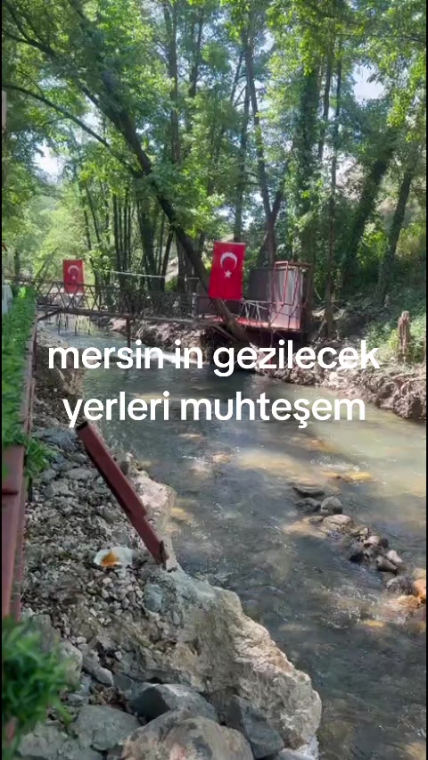 @Songül