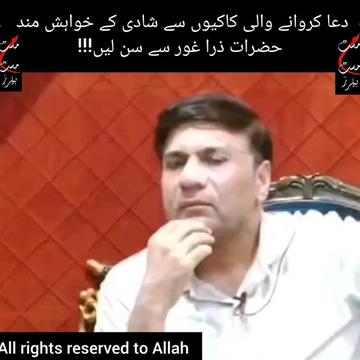 @Shu Maila