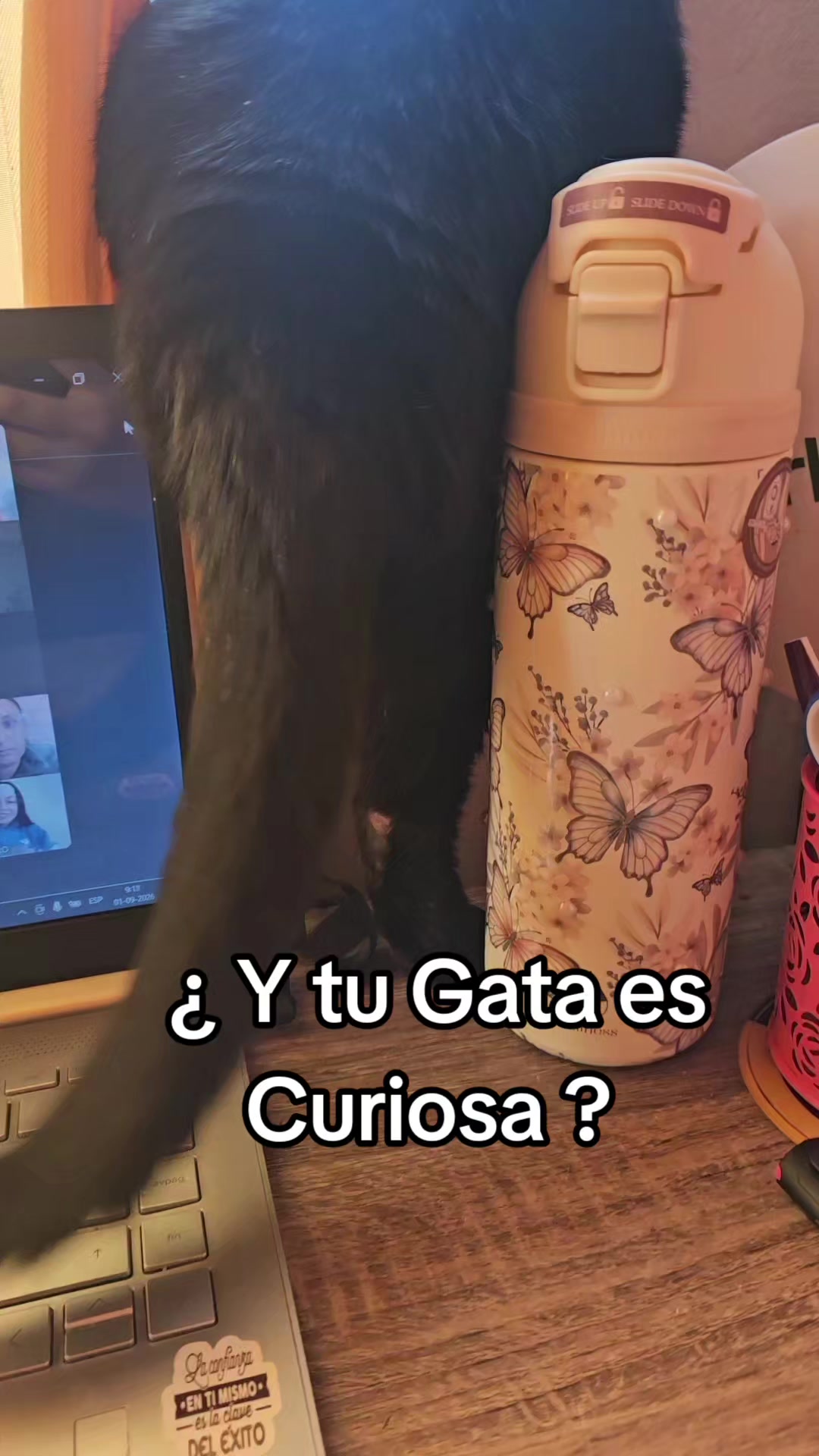 @Carlita Villar Muñoz
