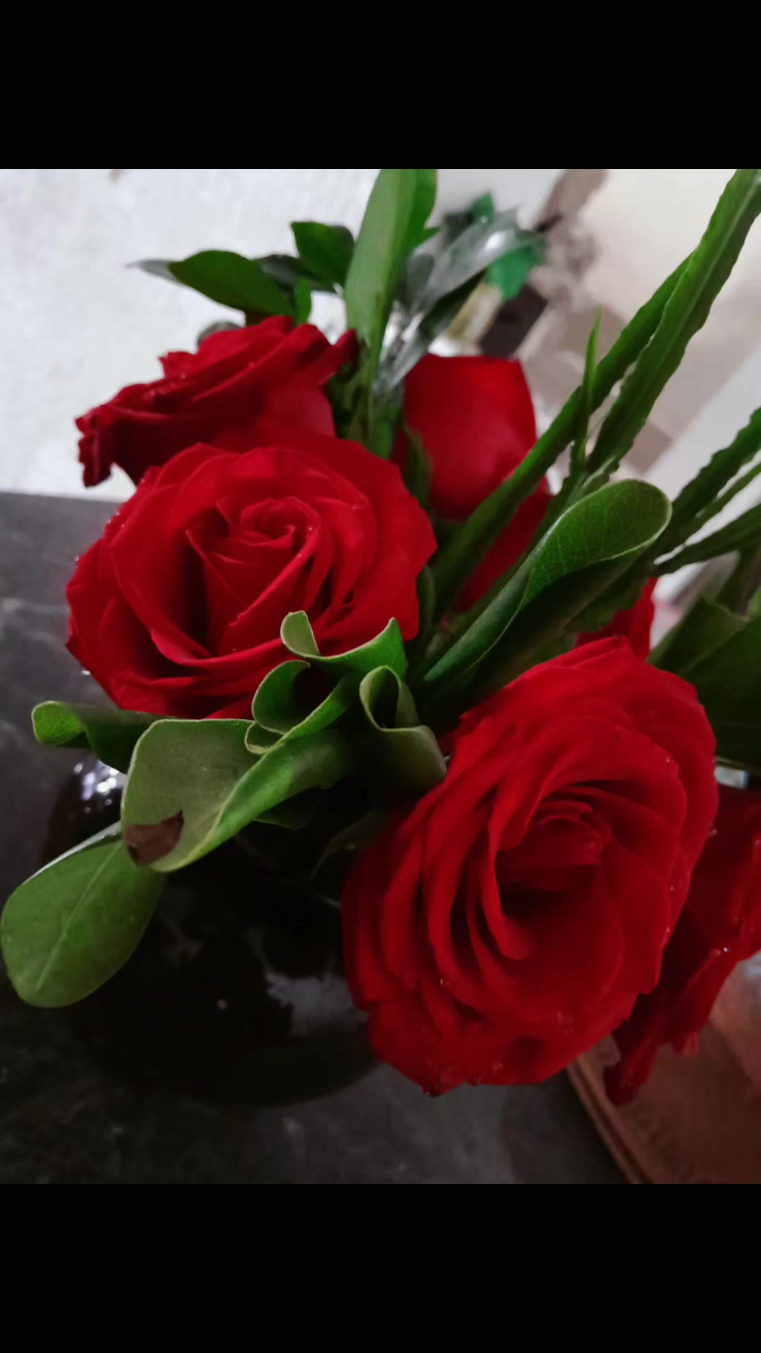 @Daneg_Yolotzin¹³