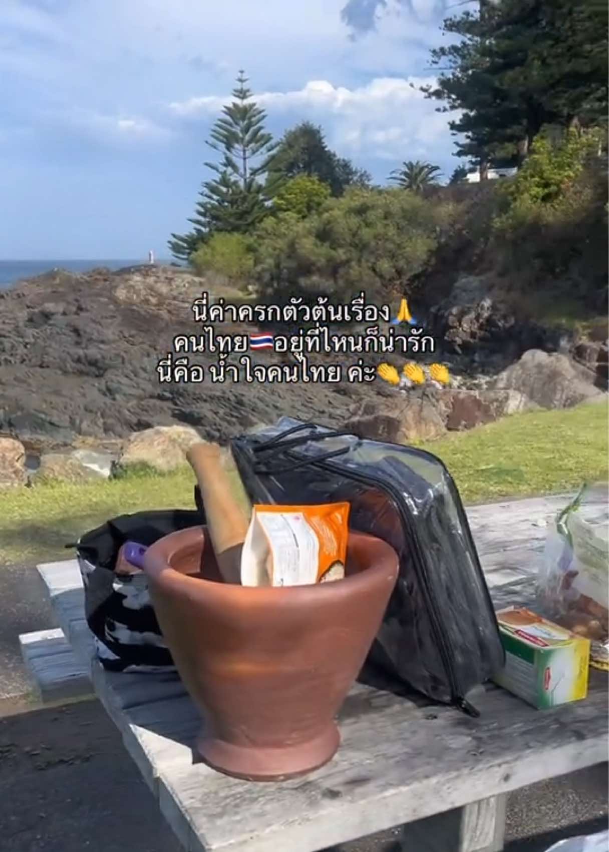 @ทีน่าร้อยโลมูจนได้จดทะเบียนออส