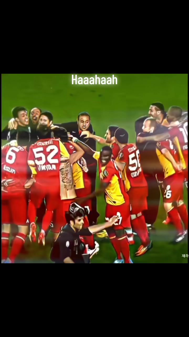 @mira&ccedil; miran