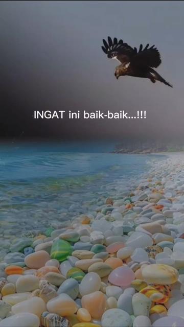 @Nasri Sulaiman