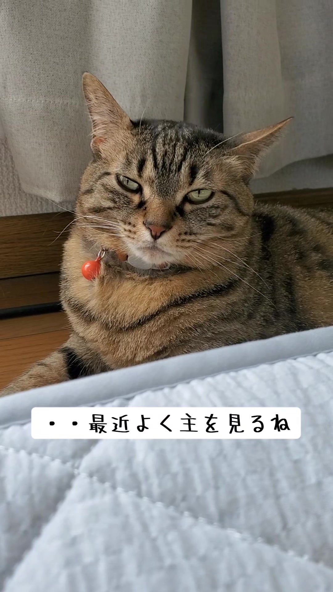 @😻kazuki😻
