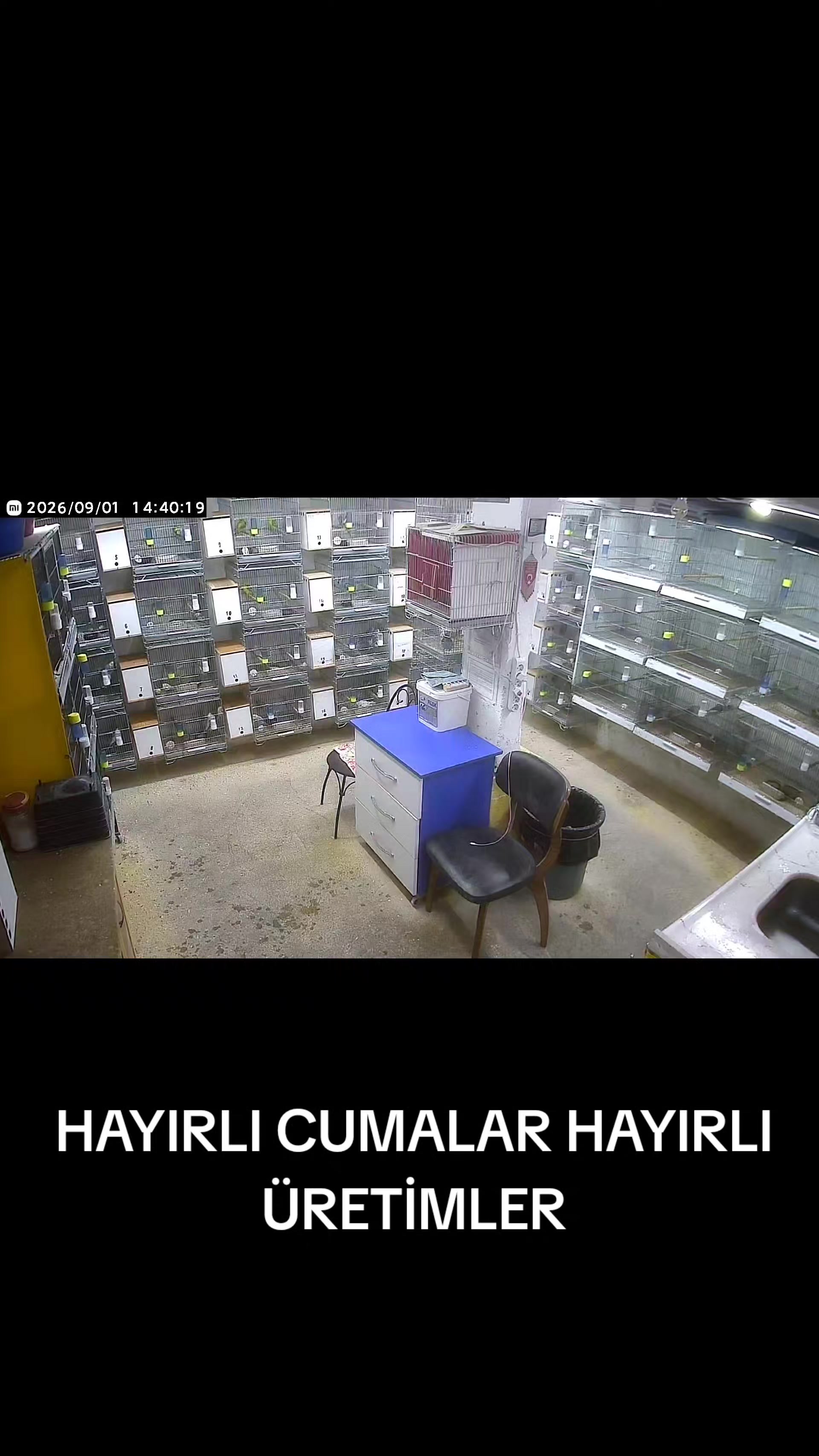@MURAT ADIGÜZEL