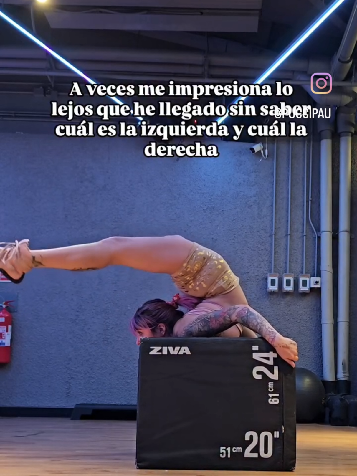 @Paula Pucci