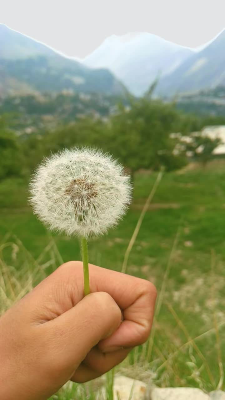 @@khenchography