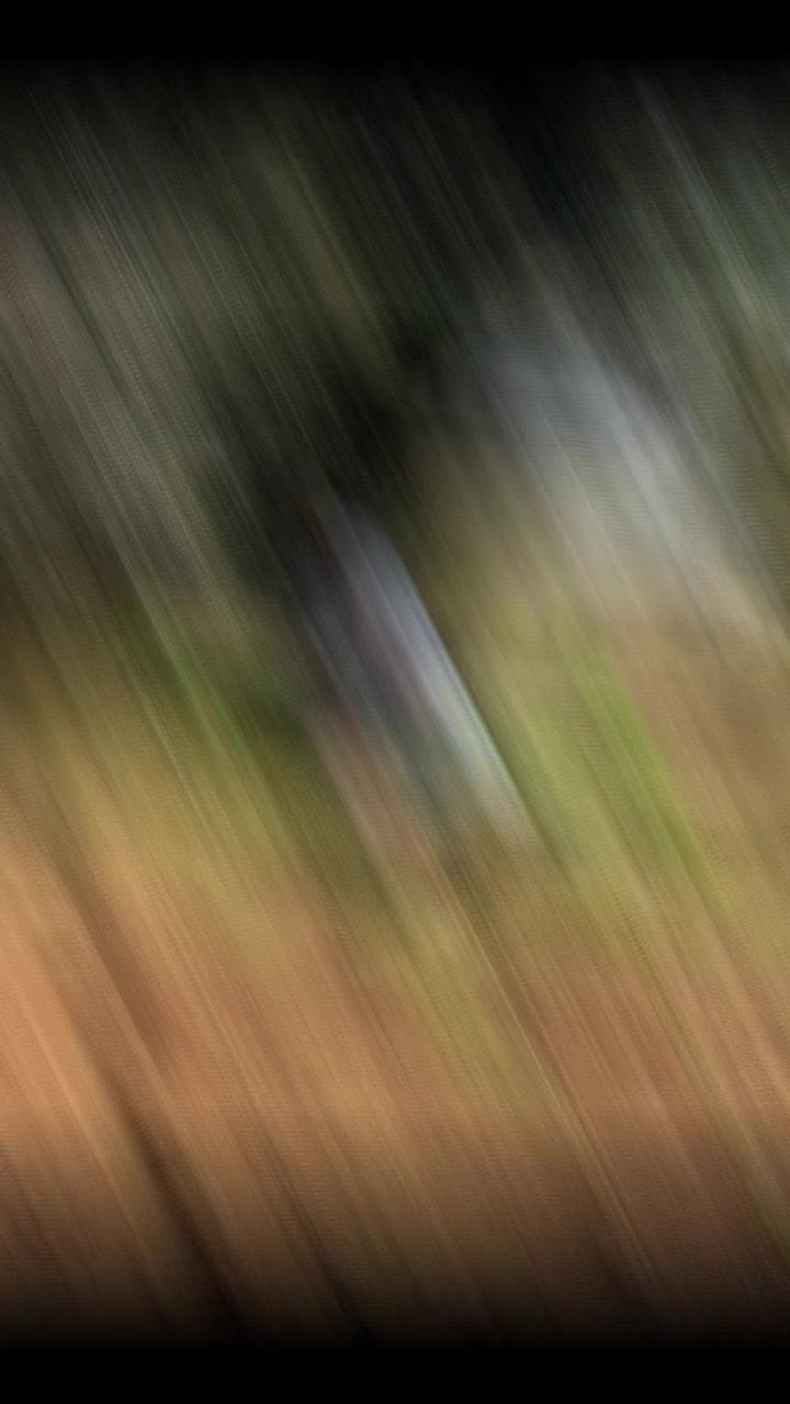 @koceroo47