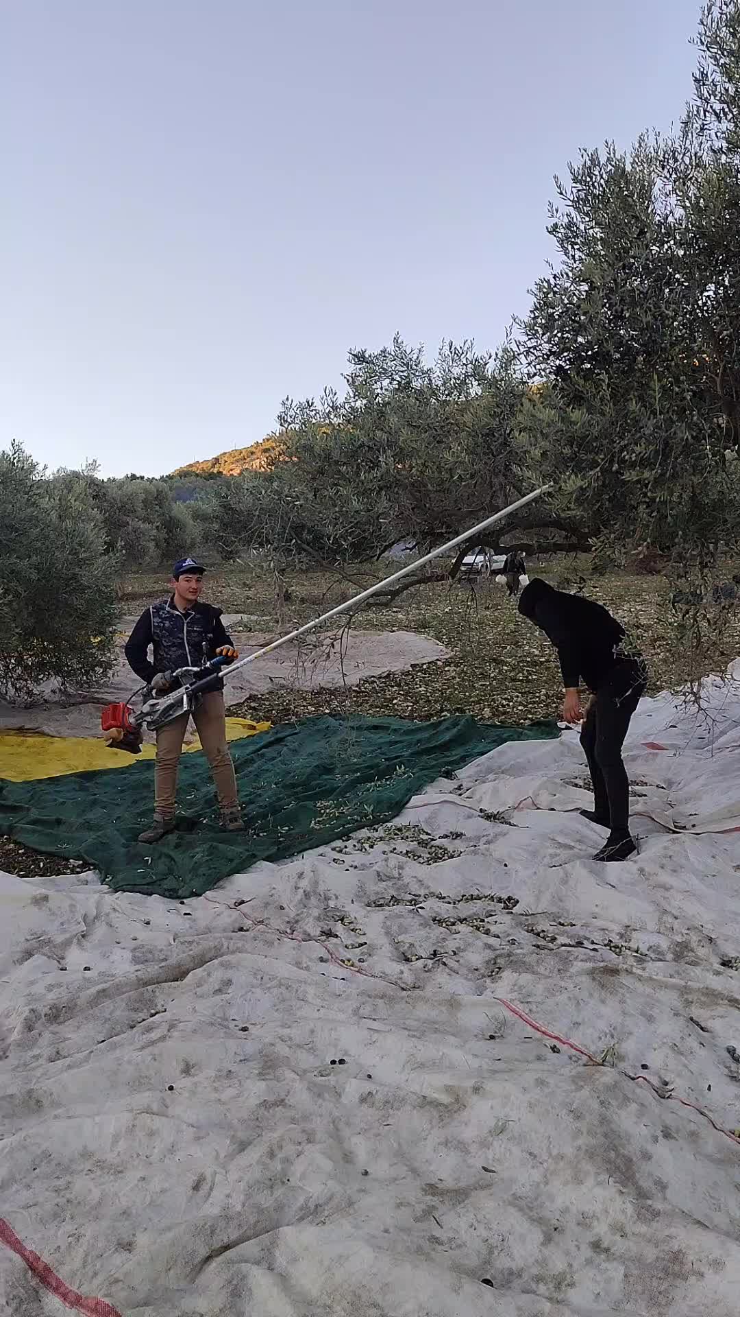 @Yiğit