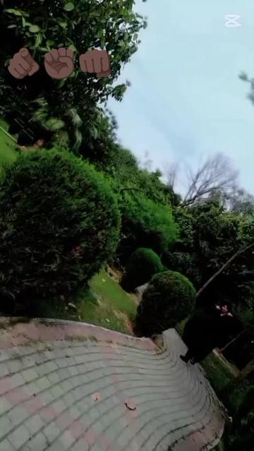 @عبدالرحمن ناصر